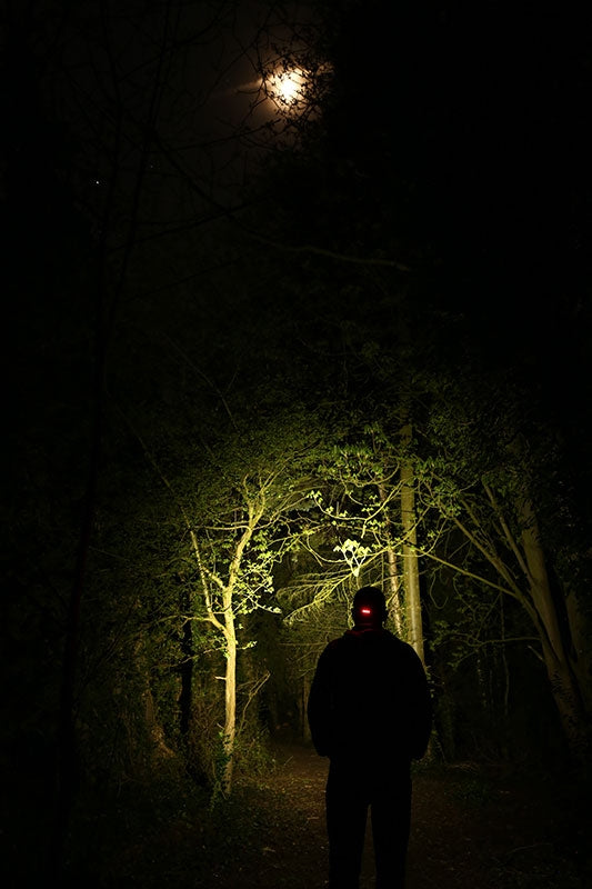 Fox Halo AL320 Headtorch