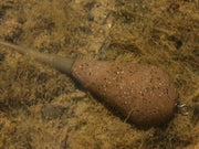 Korda Skyliners Inline