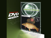 O enigma pe intelesul tuturor